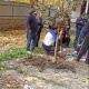 Бактын алдына көмүлгөн. Баңгизаттарды ташып жүргөн деп шектелип кылмыштуу топтун мүчөлөрү кармалды