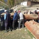 Баткендин Кайыңды айылынын тургундары таза суу менен камсыз болушту