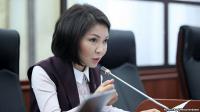 Эльвира Сурабалдиева: "Учурда жеке амбицияларды өйдө коё турган учур эмес"