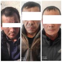 1 жарым миллион сомго чукул каражатты уурдоого жана башка кылмыштарга тиешеси бар делинген жарандар Бишкектен кармалды