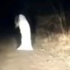 Интернетте эмне кеп? Арбакты изилдөө үчүн жиберилген полиция кызматкерлери, 62 жашка толгон Жээнбеков, жашоочусу менен кошо сатылып жаткан үй, Валериянын үнүнө ыргалган Кашкар Жунушалиев