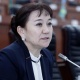 Депутат Алтыбаева салыктык түшүүлөрдүн азайышынын себебин сурады