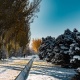 "Кээ бир райондордо туман түшүшү күтүлөт". 25-ноябрга карата аба ырайы тууралуу маалымат