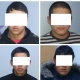 Чүй районунун аймагында мал уурдоого шектелип 20 жаштагы 4 жаран кармалды