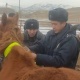 Нарын районунда жол кырсыктарынын алдын алуу максатында иш чара өткөрүлдү