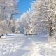 Түнкүсүн жана күндүз көпчүлүк аймакта кар жаайт. 5-декабрга карата аба ырайы