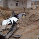 Баткенде жеңил унаа жолдон чыгып айдоочусу каза болду. Машинанын ичинен баңгизаты табылды