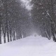 Көпчүлүк аймактарда кар жаайт. 27-декабрга карата аба ырайы