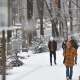 Тоо этектерине кар жаашы мүмкүн. 29-декабрга карата аба ырайы