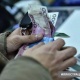 ИИМ: "Биринчи Май РИИБинин 2 кызматкери пара алуу учурунда кармалды"