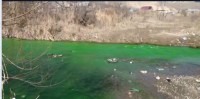 Дарыядан аккан жашыл суу. ӨКМ дарыянын суусунан анализ алынганын жана жыйынтыгы жакында чыгарын билдирди