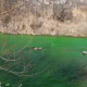 Дарыядан аккан жашыл суу. Мамэкотехинспекция суунун курамы бузулганын билдирди