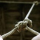 Бишкекте күйөөсү аялын жана баласын бычактап, андан соң өзү асынып алган