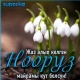 SUPER.KG порталынын эмгек жамааты кыргыз элин Нооруз майрамы менен куттуктайт