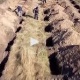 Украинада коронавирустан өлгөндөргө даярдалып 600 мүрзө казылды (видео)