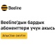 Beeline менен аралыктан окутуу: бардык тарифтерде окуу бекер