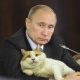 Путиндин Япониянын мэрине белек кылган мышыгы коронавируска шектелип жатат