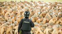 Эң ири кылмыштуу топтордун башын бириктирген Сальвадордун түрмөлөрү