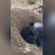 "Уулу тирүүлөй көмүп салган". Кытайда уулу көмүп салган энени 3 күндөн кийин казып чыгышты