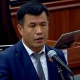 Эл өкүлү "тукумдан кыр издебегиле" деген сөзү менен депутаттарды күлдүрдү