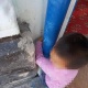 Чүйдө буту бетон менен темир түтүкчөнүн ортосуна кыпчылып калган 4 жашар бала куткарылды