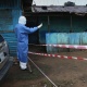 Борбордук Африкада эбола вирусунан 6 адам каза болду