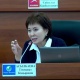 Депутат Асылбаева акча алмаштыруу жайлары боюнча мыйзам долбоору тууралуу түшүндүрмө берди