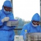 Өзбекстанда COVID-19 пандемиясы менен катталгандардын саны 4901ге жетти