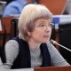 Депутат коммерциялык эмес уюмдар тууралуу мыйзам долбоору ачык-айкындуулукту камсыз кыларын айтты
