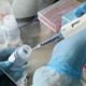 Акыйкатчы институтунун дагы бир кызматкеринен коронавирус табылды