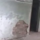 Элдик видео: Ысык-Көл аймактык ооруканасынын жугуштуу оорулар бөлүмүнүн имаратынын 70 пайызы жараксыз абалда