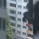 Францияда балдар өрттөнүп жаткан көп кабаттуу үйдүн терезесинен секирип, аман калышты (видео)