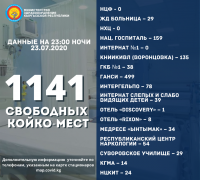 COVID-19 жана пневмониядан жабыркагандар үчүн Бишкектеги медициналык жайлардагы бош орундар тууралуу маалымат