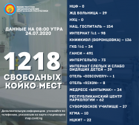 24-июлга карата Бишкектеги медициналык жайлардагы бош орундардын тизмеси