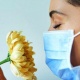 Эмне үчүн COVID-19да жыт сезүү жоголот? Окумуштуулардын изилдөөсү