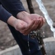 "Кайрылуу жасаганыбызга карабай, жыйынтык жок". Октябрь айылынын эли эки аптадан бери таза суусуз жашап жатышат (видео)