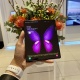 "Samsung" компаниясы өзүнүн жаңы үлгүлөрүн расмий түрдө көрсөттү