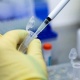+425. Бишкекте жана Ошто коронавирус жана пневмонияга кабылгандар көп болууда