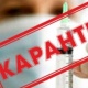 Дүйнөлүк саламаттыкты сактоо уюму өлкөлөрдү карантин киргизбөөгө чакырды