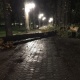 Бишкек шаарындагы Эркиндик бульварында бак кулады