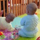 Баланы багып алуу боюнча корутундуну берүү мөөнөтү 14 күндөн 7 күнгө кыскартылды