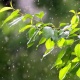 Өткүн өтүп, күн күркүрөйт. 12-сентябрга карата аба ырайы