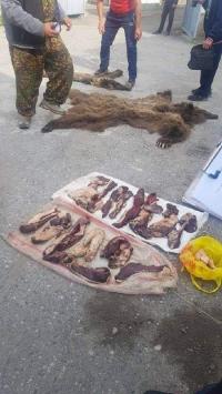 Таласта аюуну мамалагы менен атканга шектелген жаран үй камагына алынды