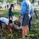 Ош шаарында өткөн ишембиликте 1 миң 500 куб таштанды чыгарылды