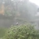 "Шамалдын ылдамдыгы саатына 90 чакырым". Вьетнамда бороондун кесепетинен 6 адам каза болду