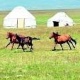 Эне тилге эки мүнөт: Акмырза жашы өтсө да алдына миң жылкы салууну калтырбады. Сиз кандай түшүндүңүз?