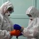 Коронавирус жуктуруп алган 144 медицина кызматкерине компенсация төлөндү