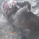 Согуш жүзү. Окопто жаткан армян жоокерине ок тийип каза болгону видеого түшүп калган