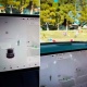 "Кантип?". Tesla автоунаасы бош көрүстөндө адамдын жүргөнүн байкады (видео)