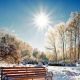 Күн жылуу болот. Эртеңкиге карата аба ырайы